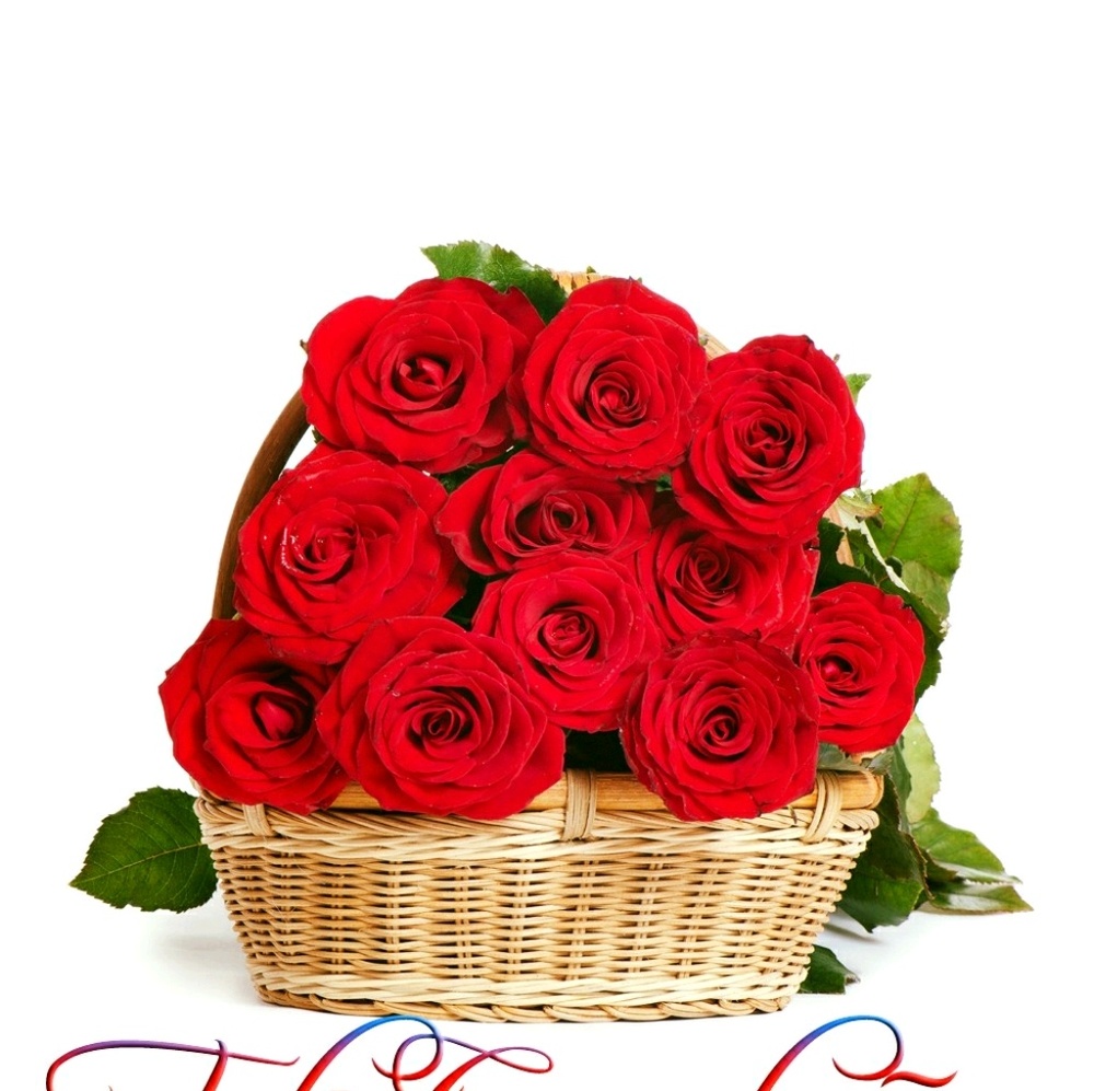 Meet your Posher, Cecilia